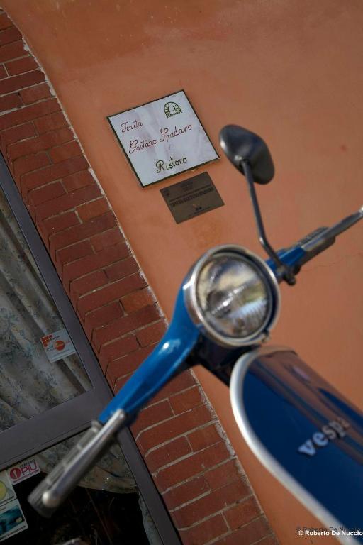Tenuta Gaetano Spadaro Capannori Exteriér fotografie