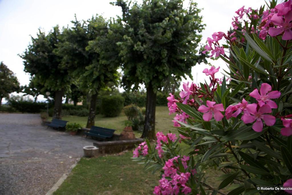 Tenuta Gaetano Spadaro Capannori Exteriér fotografie