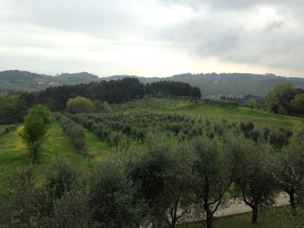 Tenuta Gaetano Spadaro Capannori Exteriér fotografie